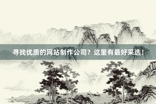 寻找优质的网站制作公司？这里有最好采选！