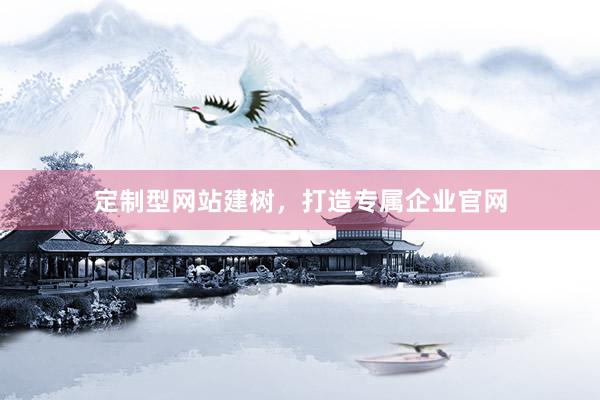 定制型网站建树，打造专属企业官网