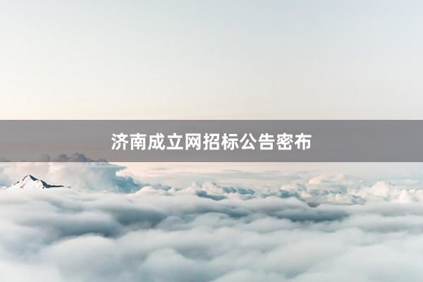 济南成立网招标公告密布
